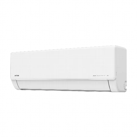 IX21 PLUS